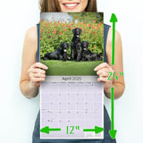 Flatcoated Retriever Wall Calendar 2025