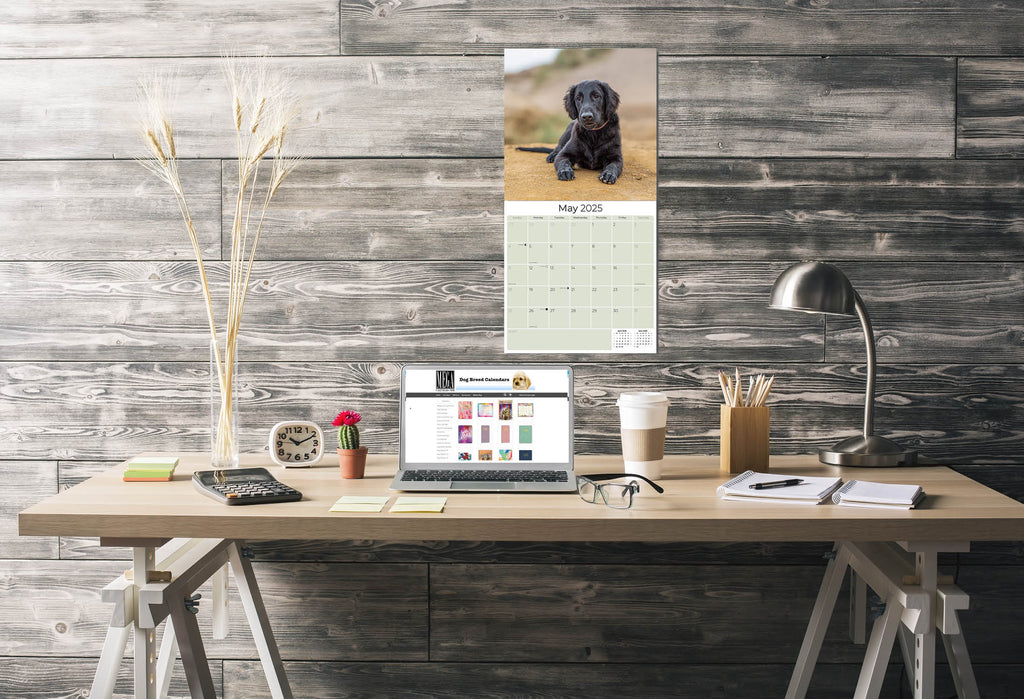 Flatcoated Retriever Wall Calendar 2025