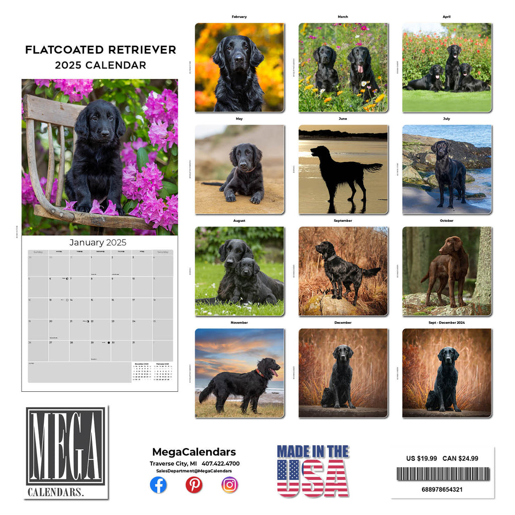 Flatcoated Retriever Wall Calendar 2025