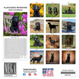 Flatcoated Retriever Wall Calendar 2025