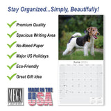 Fox Terrier (Wirehaired) Wall Calendar 2024