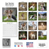 Fox Terrier (Wirehaired) Wall Calendar 2024
