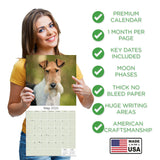 Fox Terrier (Wirehaired) Wall Calendar 2025