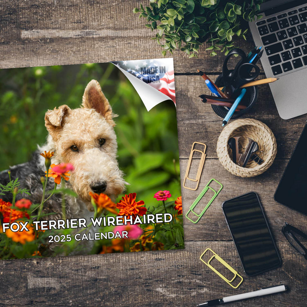 Fox Terrier (Wirehaired) Wall Calendar 2025