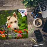 Fox Terrier (Wirehaired) Wall Calendar 2025