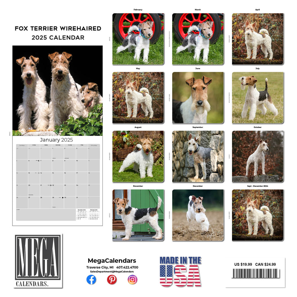 Fox Terrier (Wirehaired) Wall Calendar 2025