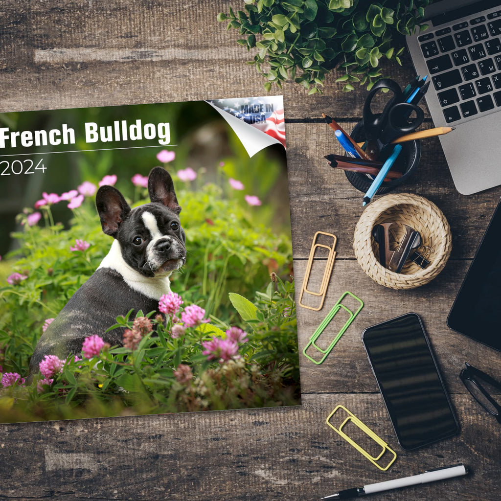 French Bulldog Wall Calendar 2024
