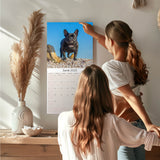 French Bulldog Wall Calendar 2025
