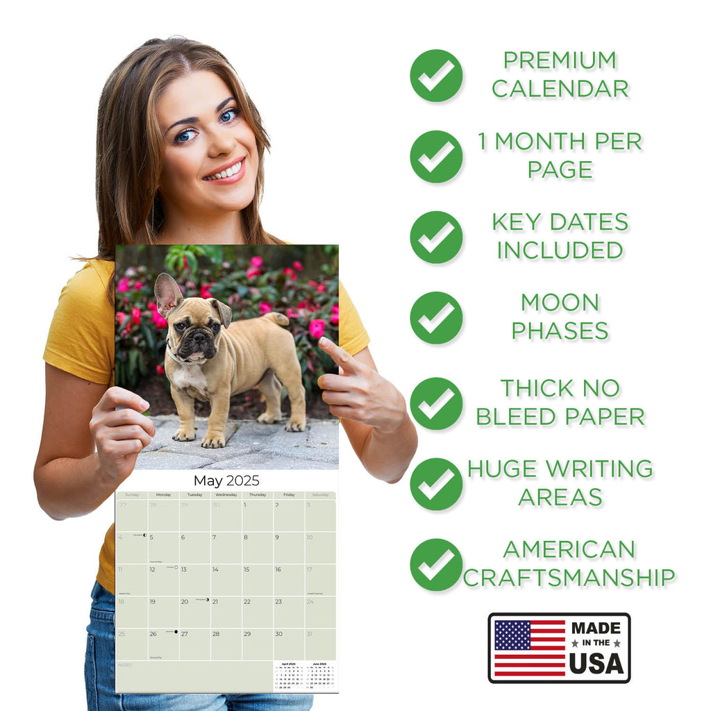 French Bulldog Wall Calendar 2025