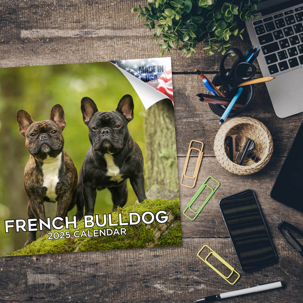 French Bulldog Wall Calendar 2025