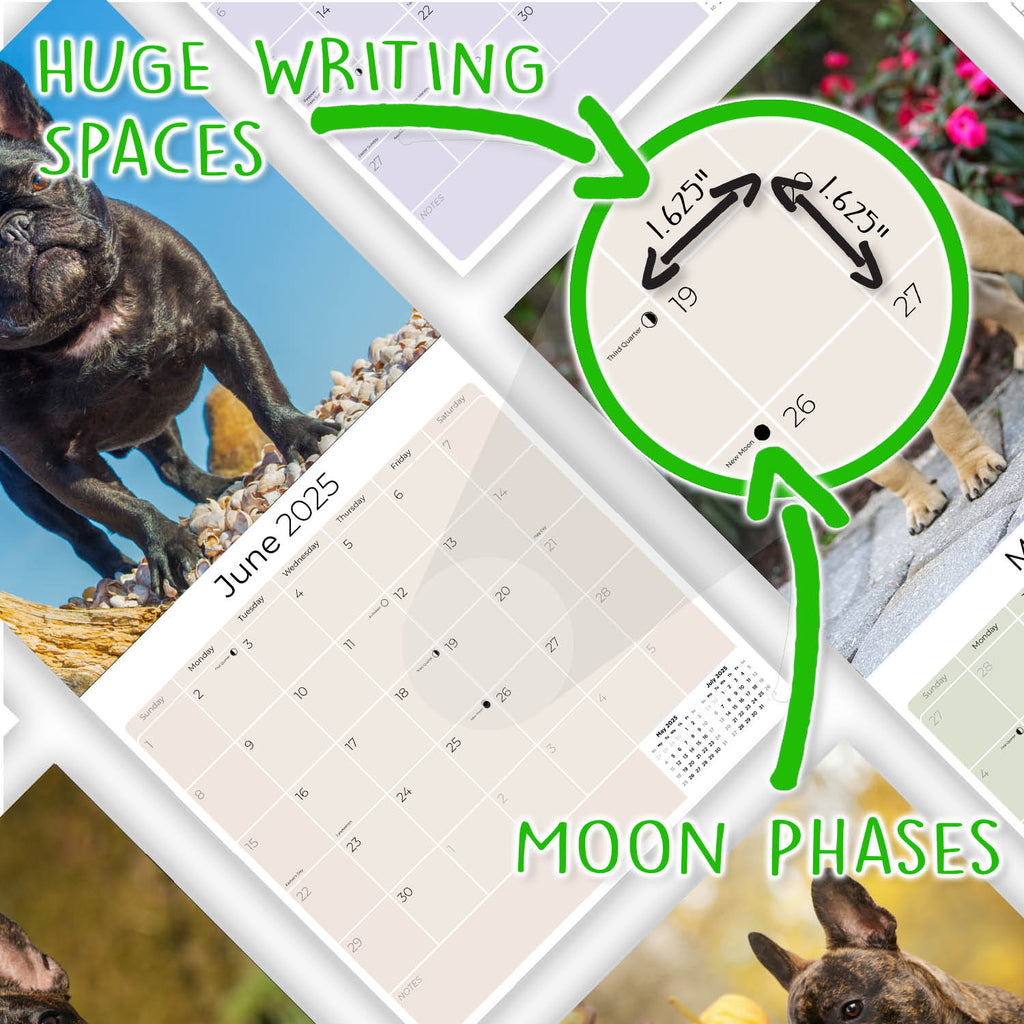 French Bulldog Wall Calendar 2025