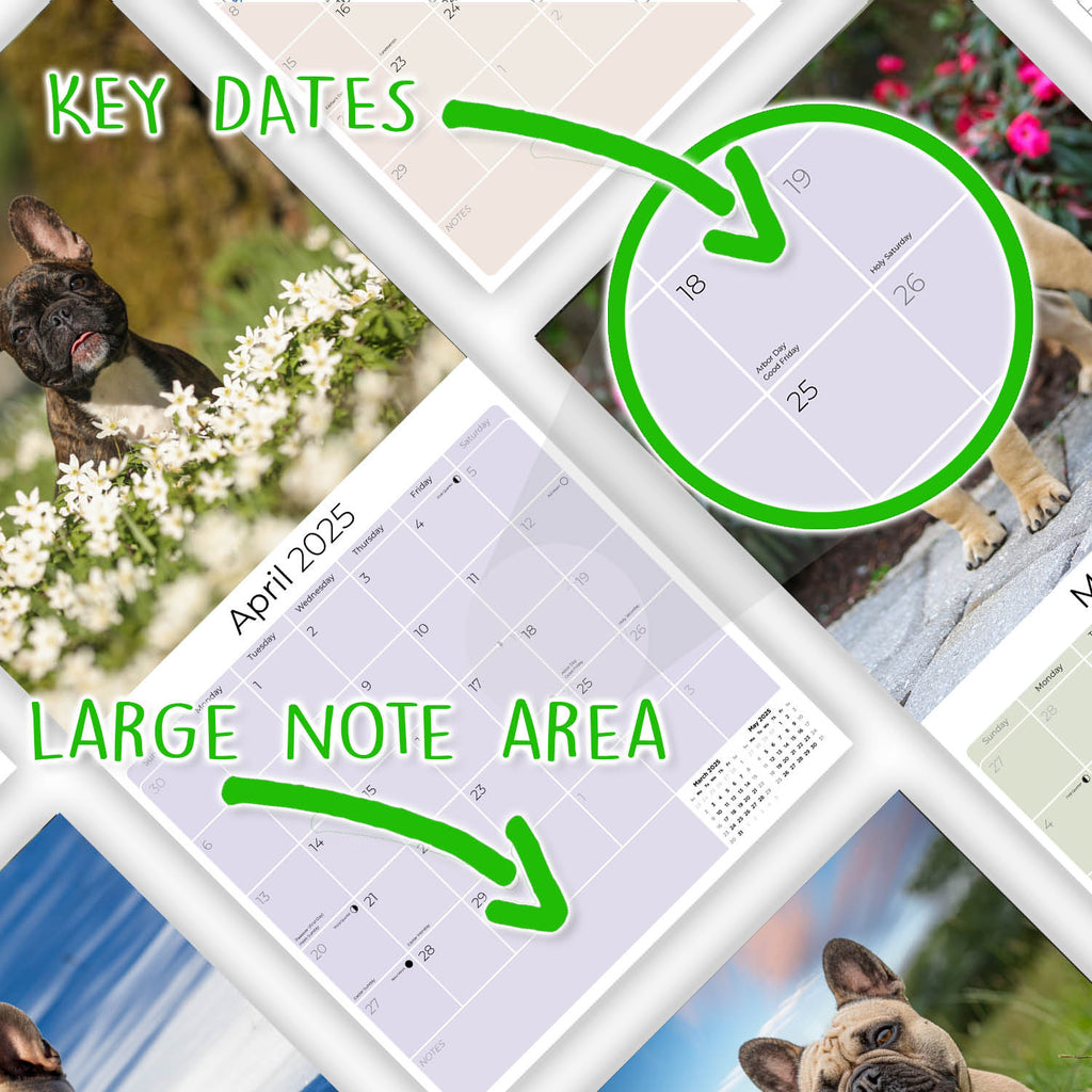 French Bulldog Wall Calendar 2025