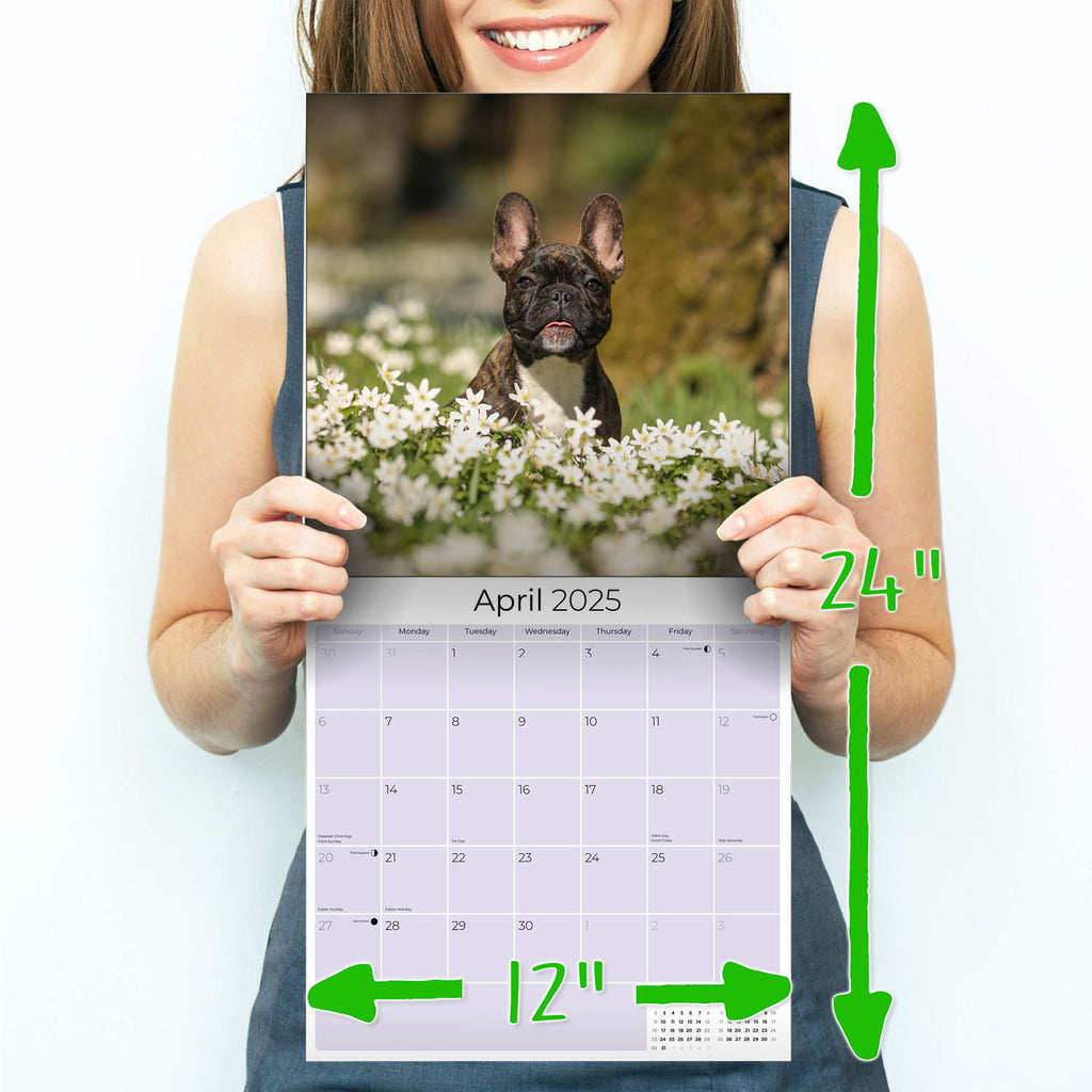 French Bulldog Wall Calendar 2025