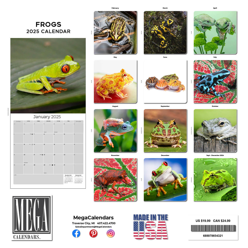 Frogs Calendar 2025