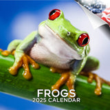 Frogs Calendar 2025