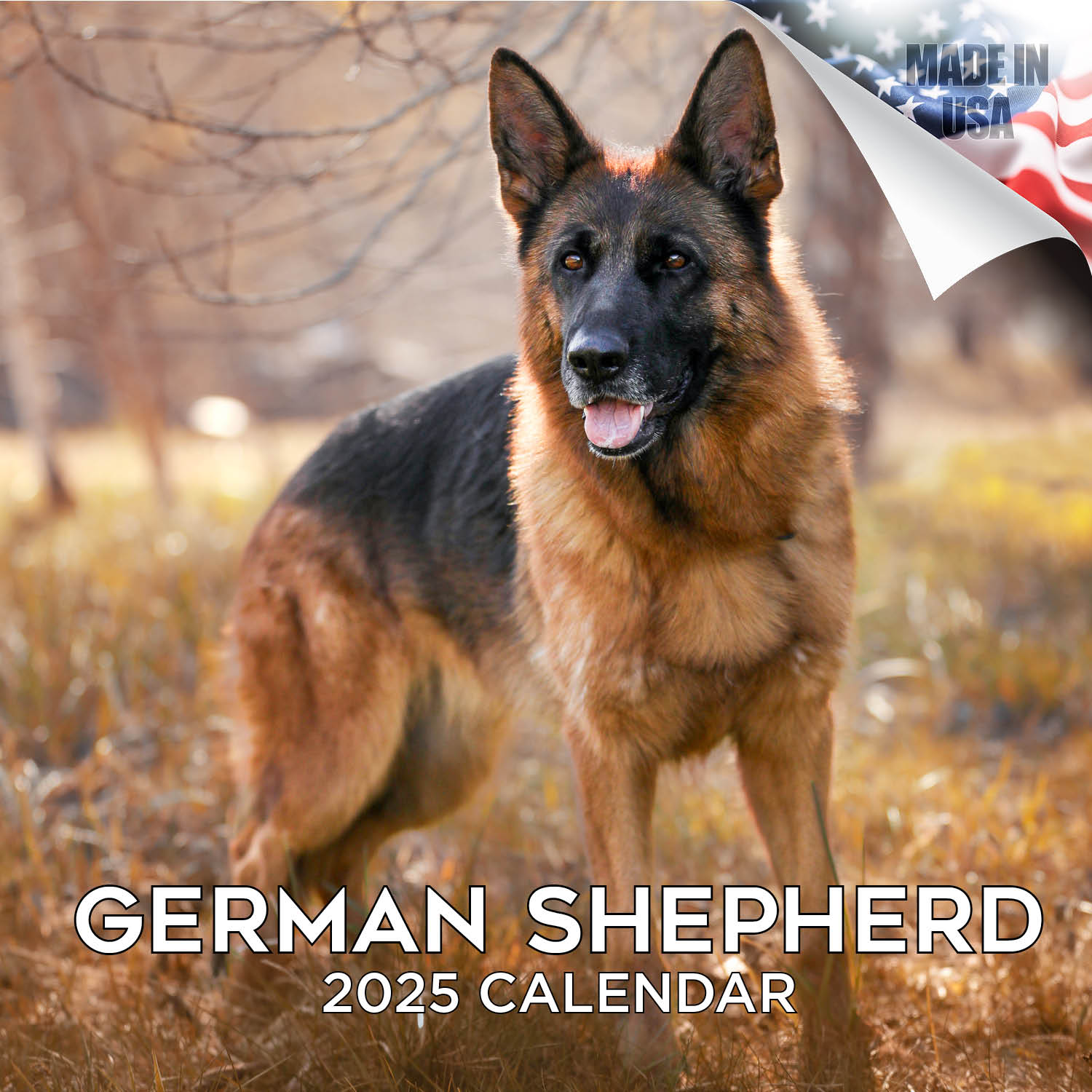 Tigers Wall Calendar 2025