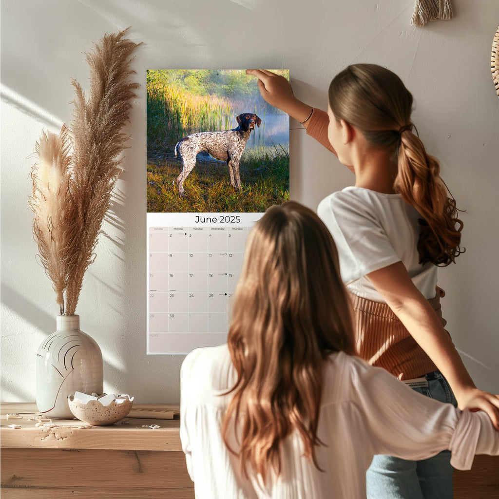 German Shorthaired Pointer Wall Calendar 2025