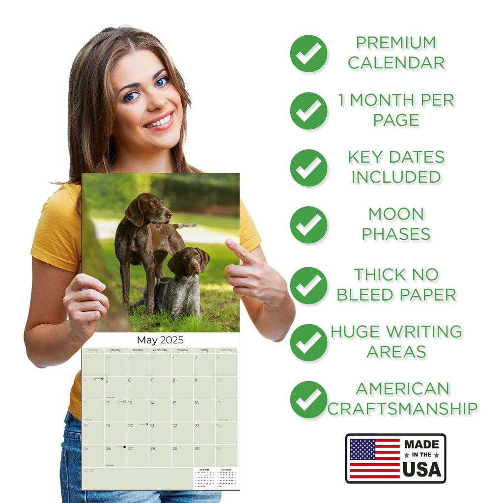 German Shorthaired Pointer Wall Calendar 2025