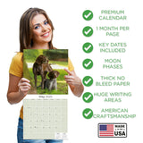 German Shorthaired Pointer Wall Calendar 2025