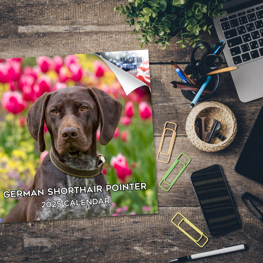 German Shorthaired Pointer Wall Calendar 2025