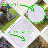 German Shorthaired Pointer Wall Calendar 2025