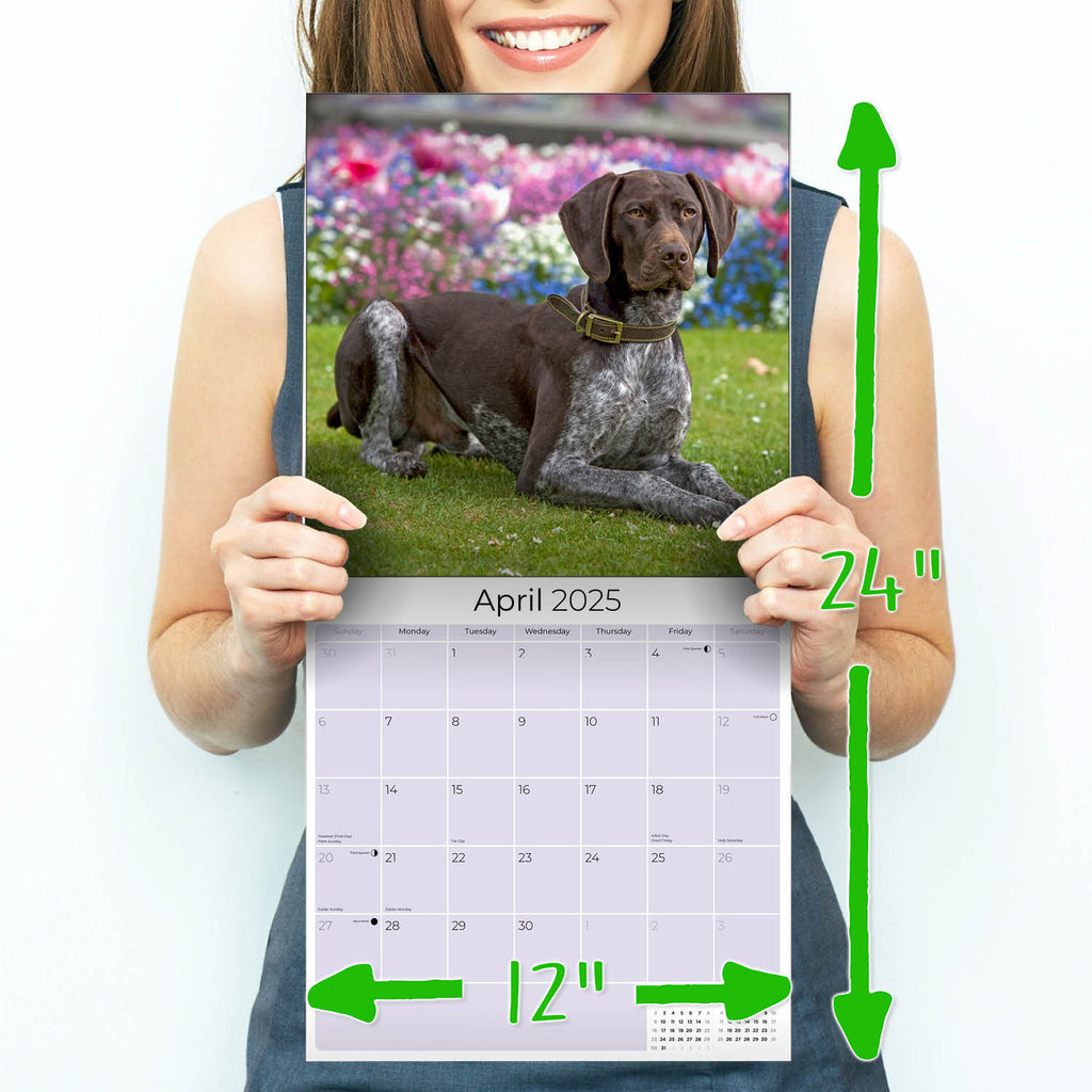 German Shorthaired Pointer Wall Calendar 2025