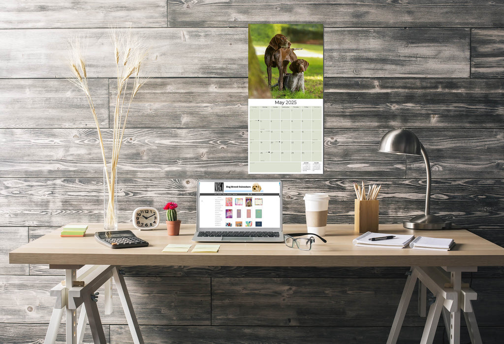 German Shorthaired Pointer Wall Calendar 2025
