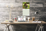 German Shorthaired Pointer Wall Calendar 2025