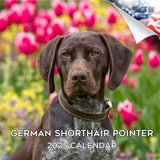 German Shorthaired Pointer Wall Calendar 2025