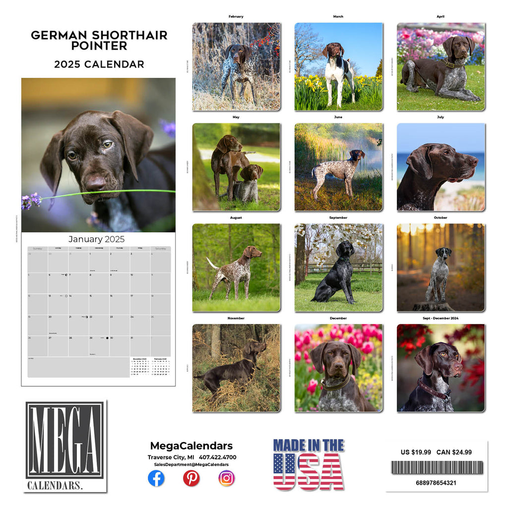 German Shorthaired Pointer Wall Calendar 2025