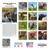 German Shorthaired Pointer Wall Calendar 2025