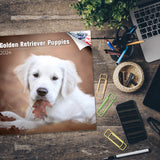 Golden Retriever Puppies Wall Calendar 2024