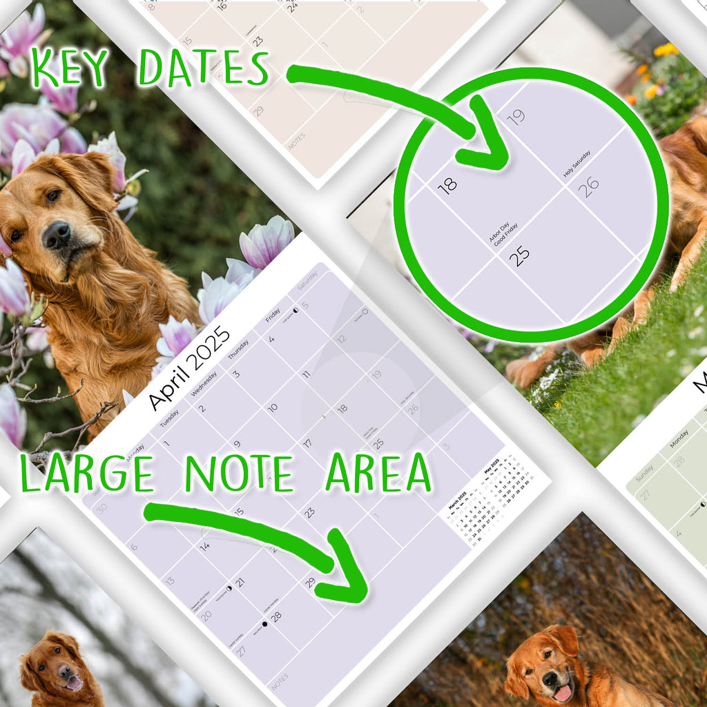 Golden Retriever Wall Calendar 2025