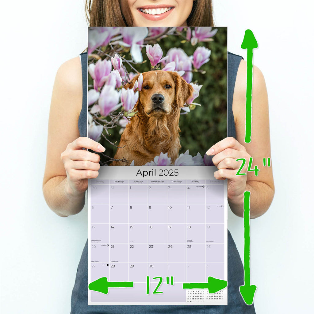 Golden Retriever Wall Calendar 2025