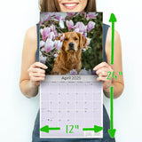 Golden Retriever Wall Calendar 2025