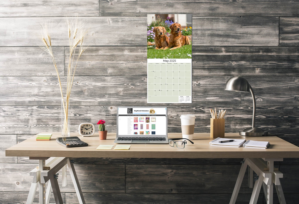 Golden Retriever Wall Calendar 2025