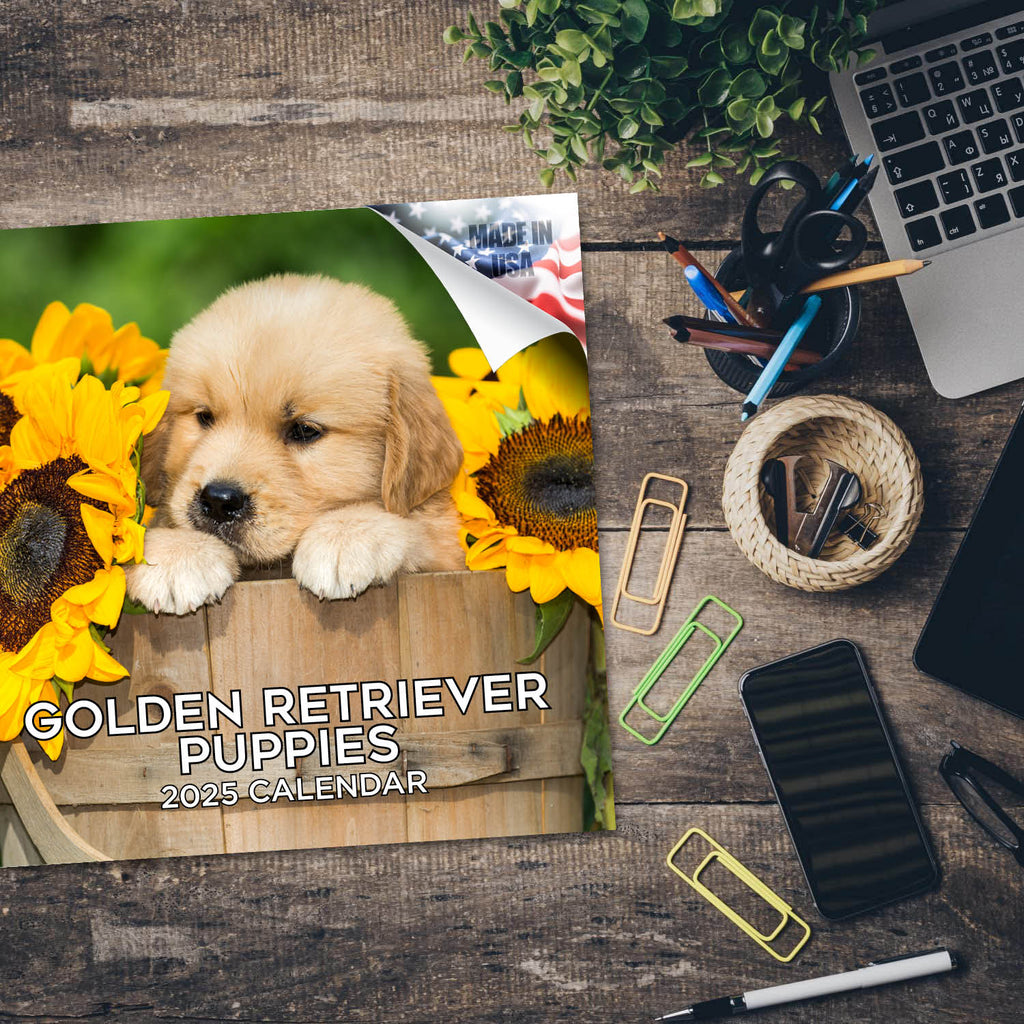 Golden Retriever Puppies Wall Calendar 2025