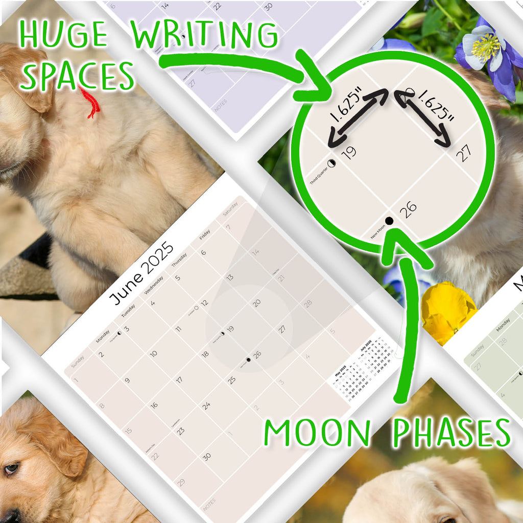 Golden Retriever Puppies Wall Calendar 2025