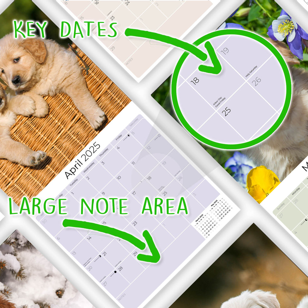 Golden Retriever Puppies Wall Calendar 2025