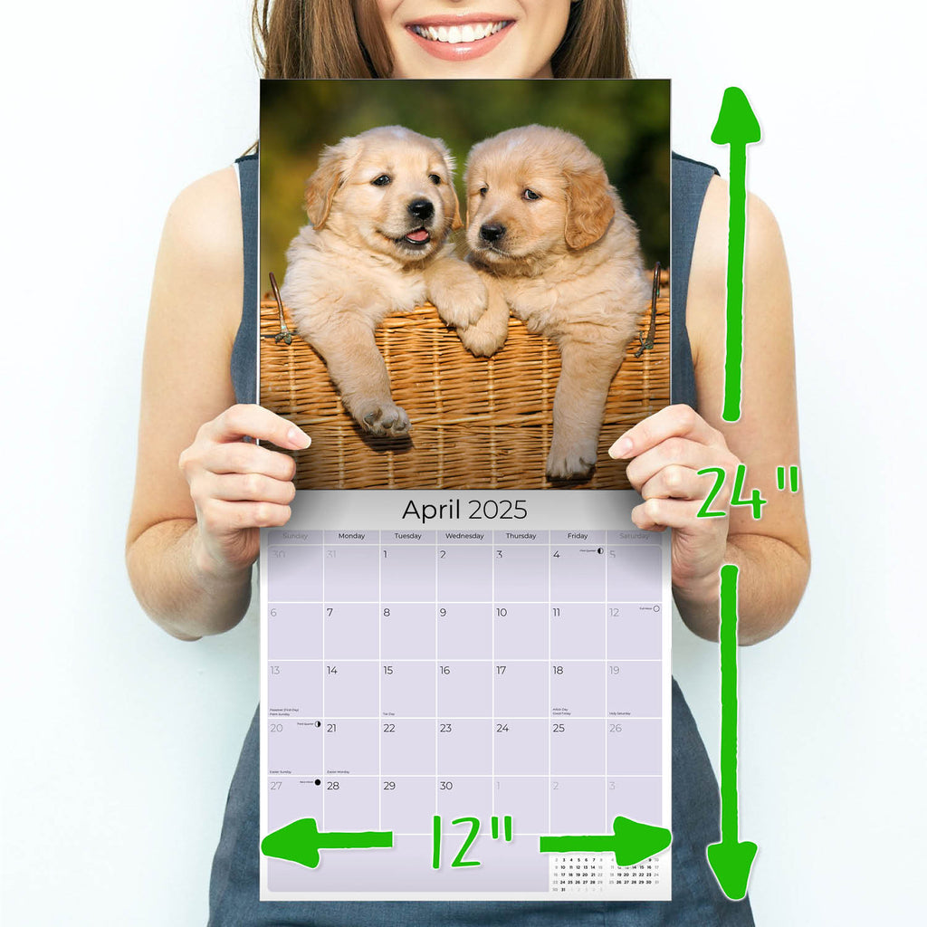 Golden Retriever Puppies Wall Calendar 2025