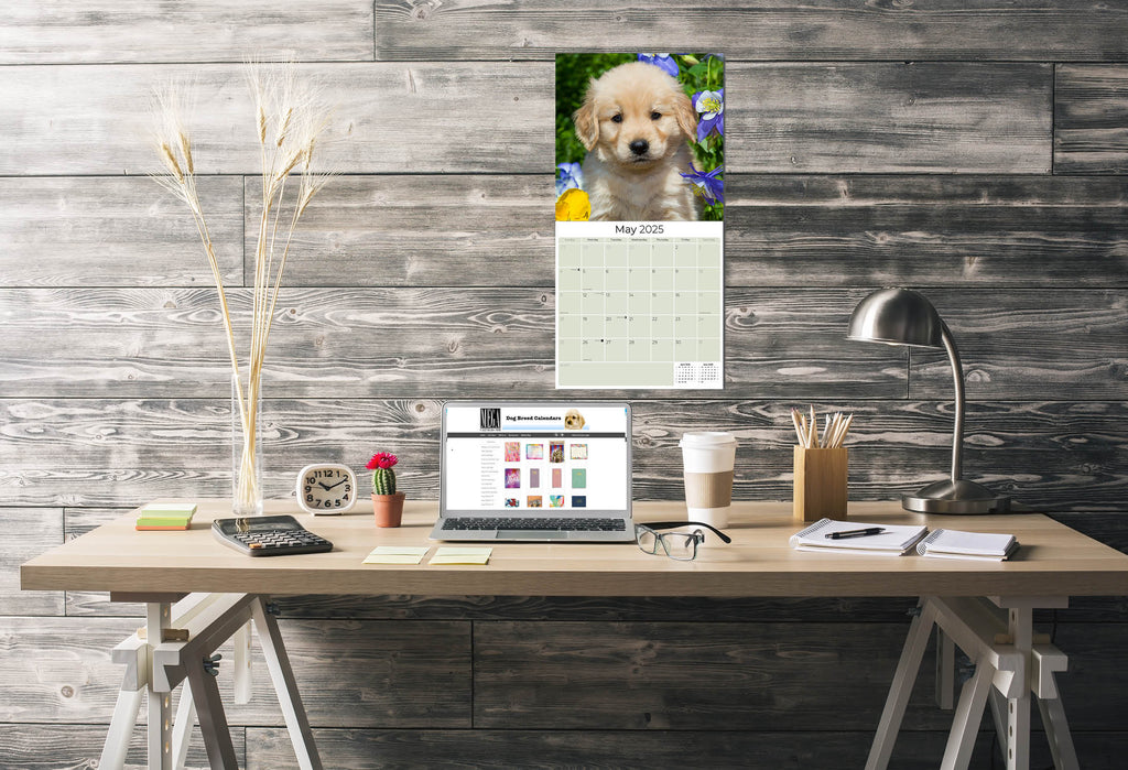 Golden Retriever Puppies Wall Calendar 2025