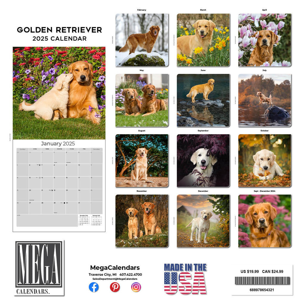 Golden Retriever Wall Calendar 2025
