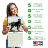 Gordon Setter Wall Calendar 2025