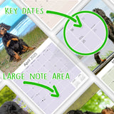 Gordon Setter Wall Calendar 2025