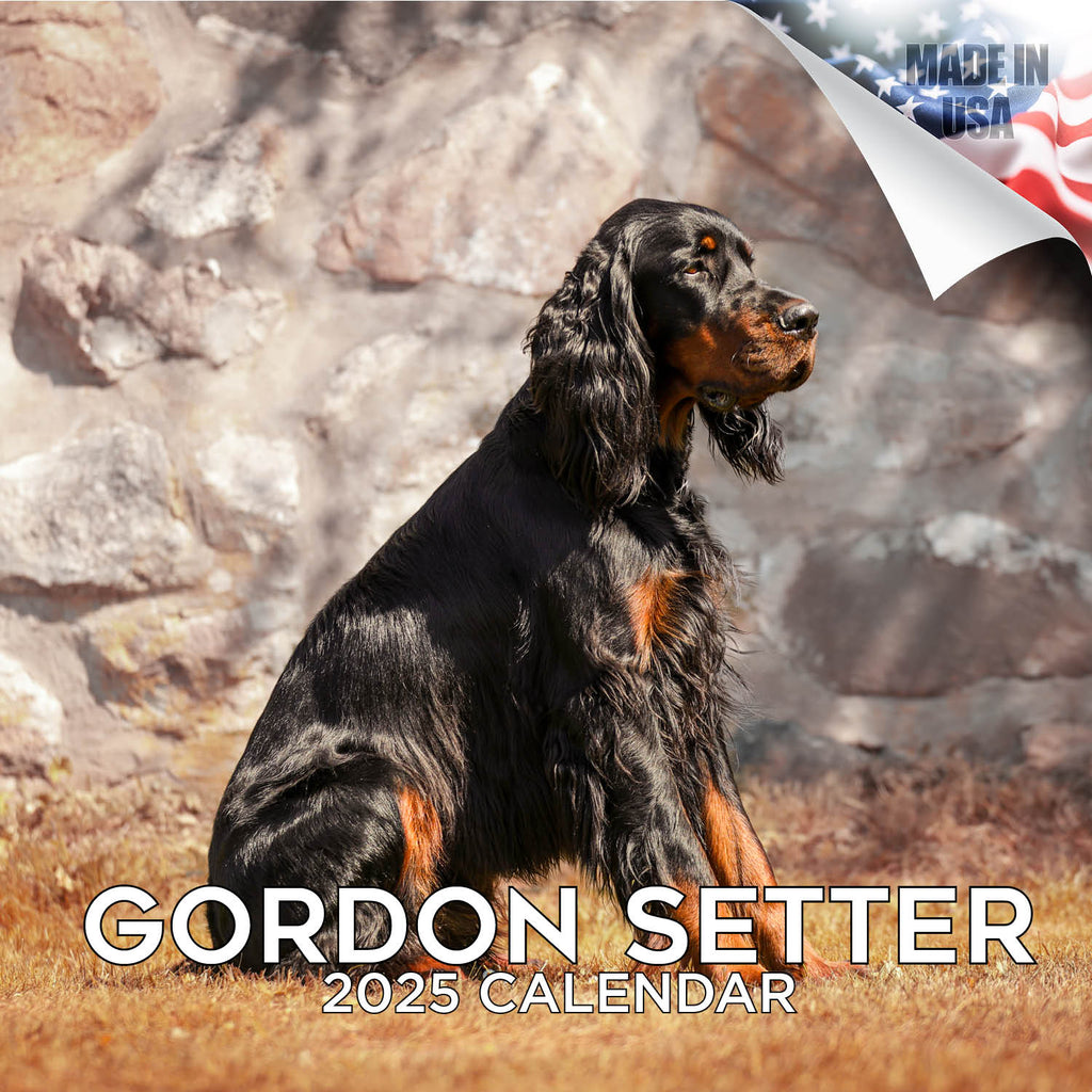 Gordon Setter Wall Calendar 2025