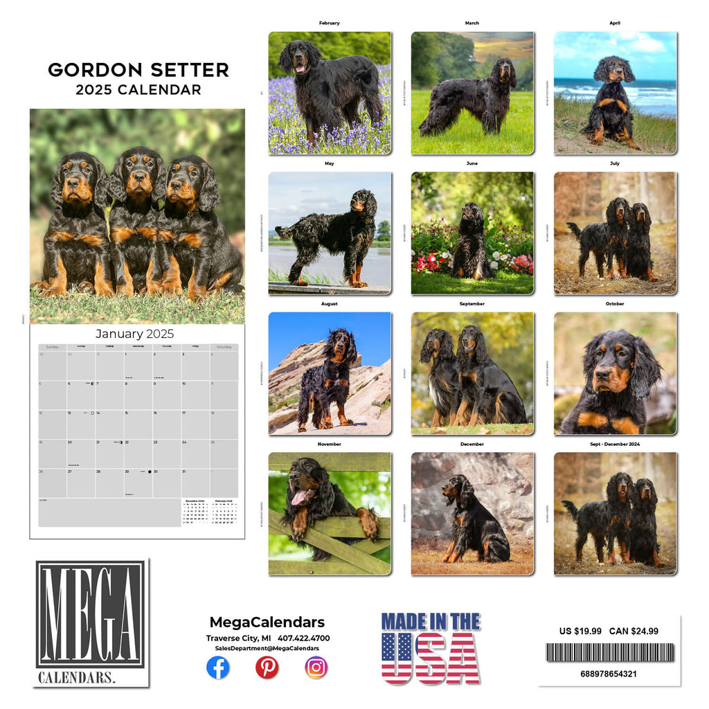 Gordon Setter Wall Calendar 2025