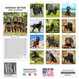 Gordon Setter Wall Calendar 2025