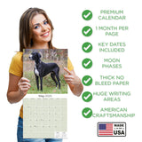 Great Dane Wall Calendar 2025
