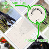 Great Dane Wall Calendar 2025