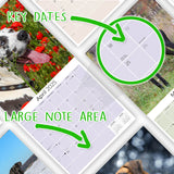 Great Dane Wall Calendar 2025